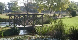 Terrasse pergola bois